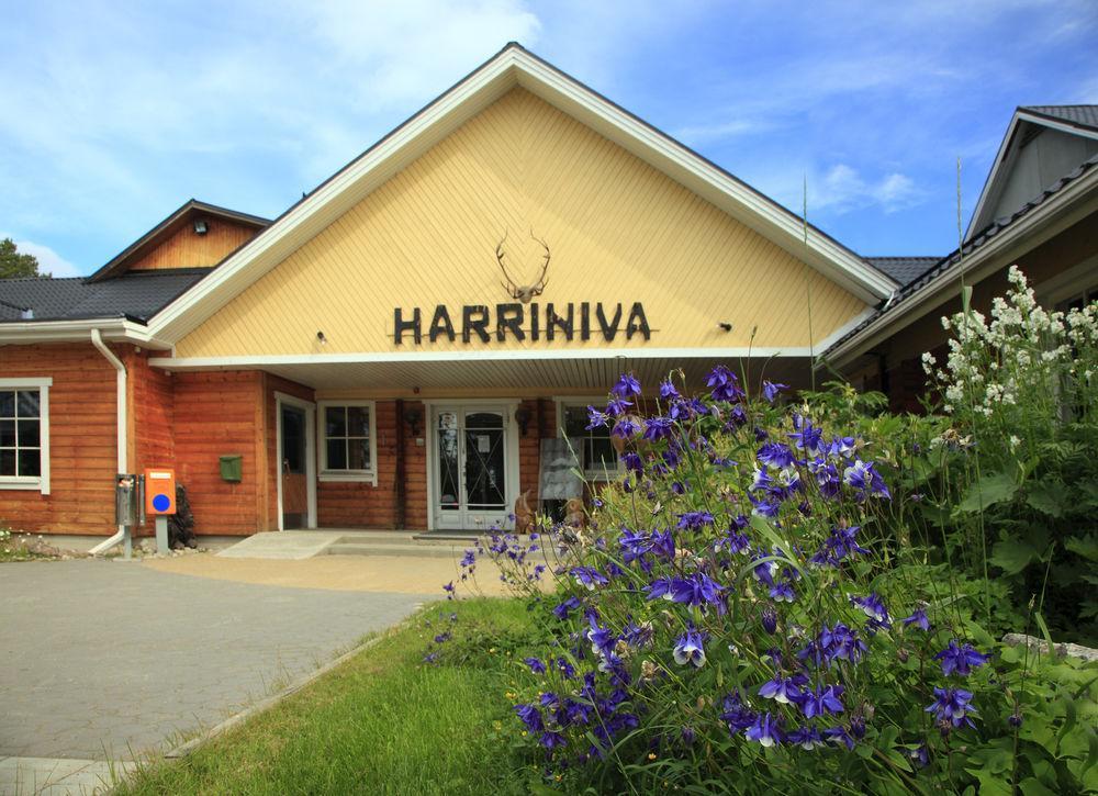Harriniva