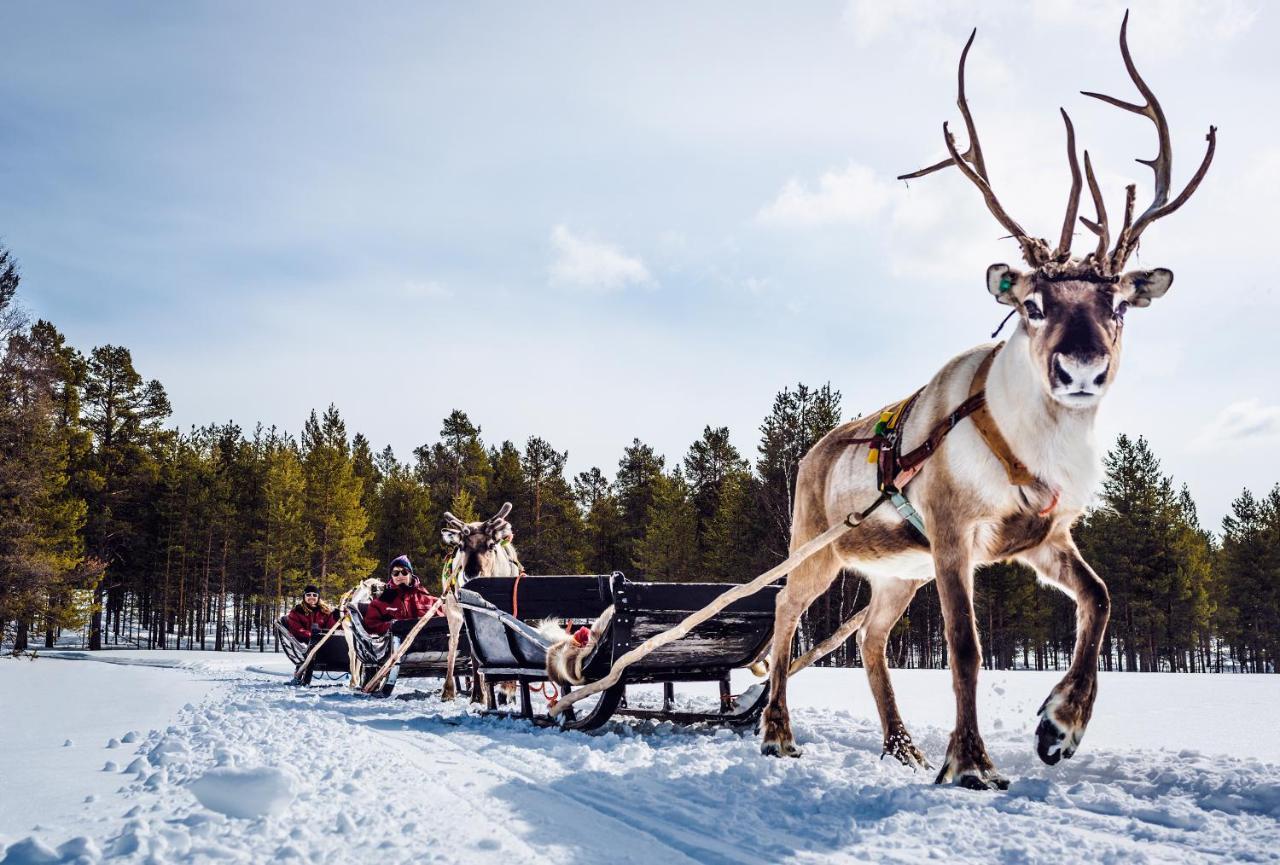 Hotel Harriniva Adventure Muonio