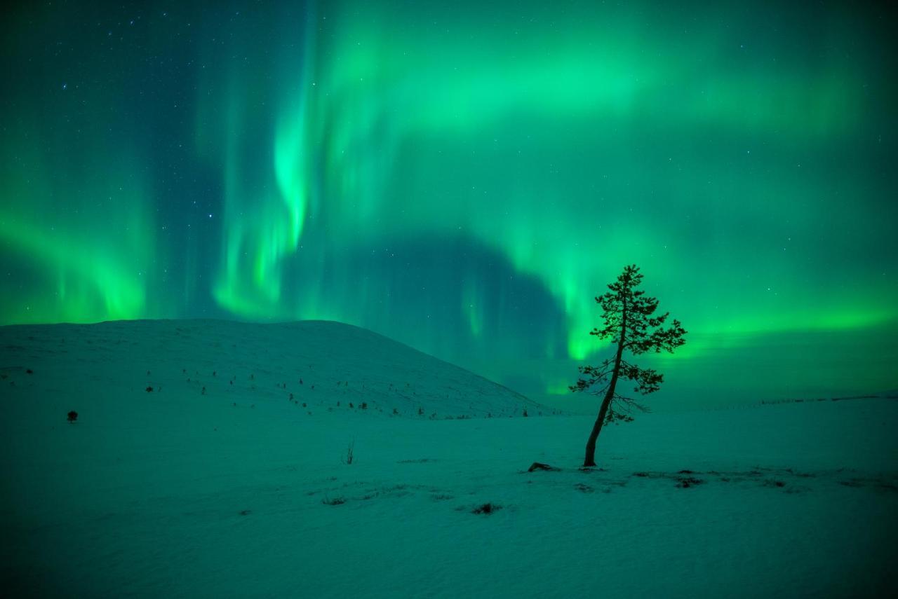 Harriniva Adventure Hotel
